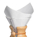 CHEMEX® FS-100 Filters